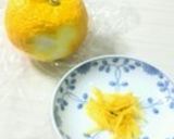 柚子の保存法(冷凍)作り方7写真