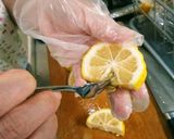子供も♪ゆず茶2種類 フードプロセッサー作り方3写真