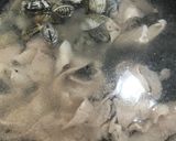 スンドゥブチゲの火鍋風作り方4写真