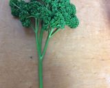 ベジ＊ココナッツミルクリゾット風作り方3写真