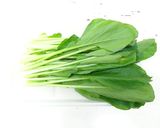 食品野菜乾燥機で干し小松菜作り方1写真