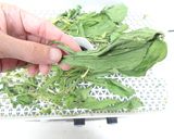食品野菜乾燥機で干し小松菜作り方4写真