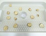 食品乾燥機で菊芋の乾燥作り方3写真