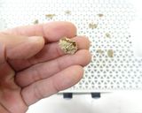 食品乾燥機で生姜の乾燥作り方4写真