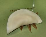 持ち寄りパーティーに！たらポテ揚げ餃子作り方7写真