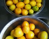 圧力鍋で金柑のシロップ煮【覚書】作り方1写真