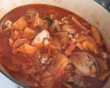 鶏肉のりんご&トマトピューレ煮込み作り方10写真