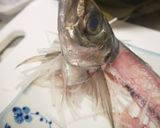 あじ刺身・あじ姿造り【捌き方・盛付方有作り方25写真