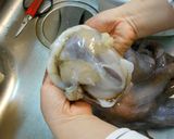 愛知の魚100選 タコの柔らか下処理作り方4写真