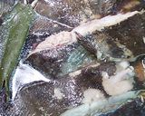 カレイの煮つけ作り方3写真
