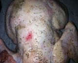 クリスマスチキン焼きパエリア風詰め作り方1写真