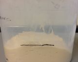 生クリーム食パン作り方3写真