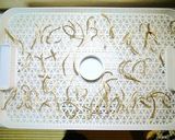 家庭用食品乾燥機で作る干しごぼう作り方3写真