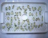 食品野菜乾燥機で作る干しきゅうり作り方3写真
