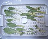 家庭用食品乾燥機で作る干し青梗菜作り方3写真