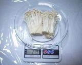 家庭用食品乾燥機で作る干しえのき作り方1写真