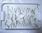 家庭用食品乾燥機で作る干しアスパラガス作り方3写真