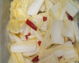 簡単！白菜のピリ甘辛　浅漬け風サラダ作り方5写真