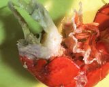 アメリカンロブスター☆Ｗみそカレー味作り方11写真