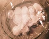 マシュマログラノーラ作り方1写真