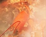 和風に食べるロブスターの☆お味噌汁作り方1写真
