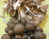 低温で柔らかジューシー丸鶏ローストチキン作り方4写真