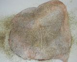 リンゴジュースに漬込んでローストチキン作り方1写真