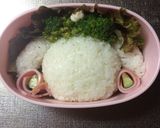 キャラ弁簡単シロ作り方2写真