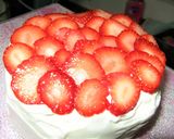 2015♡犬用クリスマスケーキ♪作り方15写真