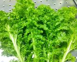 わさび菜のおかかあえ作り方1写真