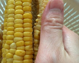 とうもろこし♪簡単綺麗に粒をとる方法作り方3写真