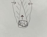 子供もすすむ白菜マキマキ☆作り方4写真