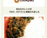 簡単♪ナスとピーマンの和風キーマカレー作り方9写真