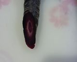 黒人参ちらし寿司作り方5写真
