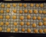 コロコロ♪スノーボールクッキー作り方9写真