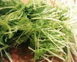 水菜と干しエビの煮びたし作り方1写真