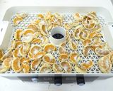 果物乾燥機で作る干しミカン作り方3写真