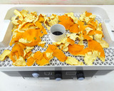 食品乾燥機でみかんの皮を乾燥作り方2写真