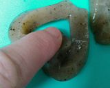 結びこんにゃくの作り方★簡単で味染みます作り方3写真