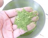 製粉機で小松菜のパウダー化作り方7写真
