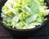 白菜の即席漬物作り方4写真