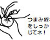 おうちで簡単☆あんぱん作り方10写真