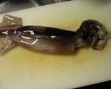 水炊き；烏賊腸(イカわた)使用作り方1写真