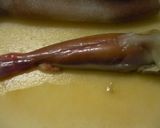 水炊き；烏賊腸(イカわた)使用作り方3写真