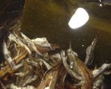大福餅で代用〜香川風〜あん餅雑煮作り方3写真