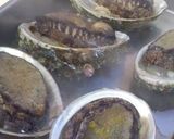 鮑の煮貝作り方4写真