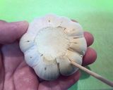 にんにくのまる揚げ作り方1写真