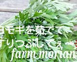 おもちつきで♪よもぎの草もち作り方1写真