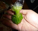 さわやか減塩　柚子胡椒作り方9写真