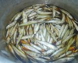 わかさぎの簡単佃煮作り方8写真